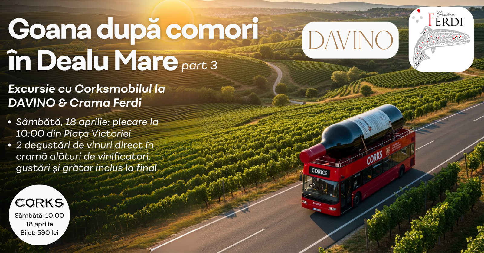 Goana după comori în Dealu Mare 3