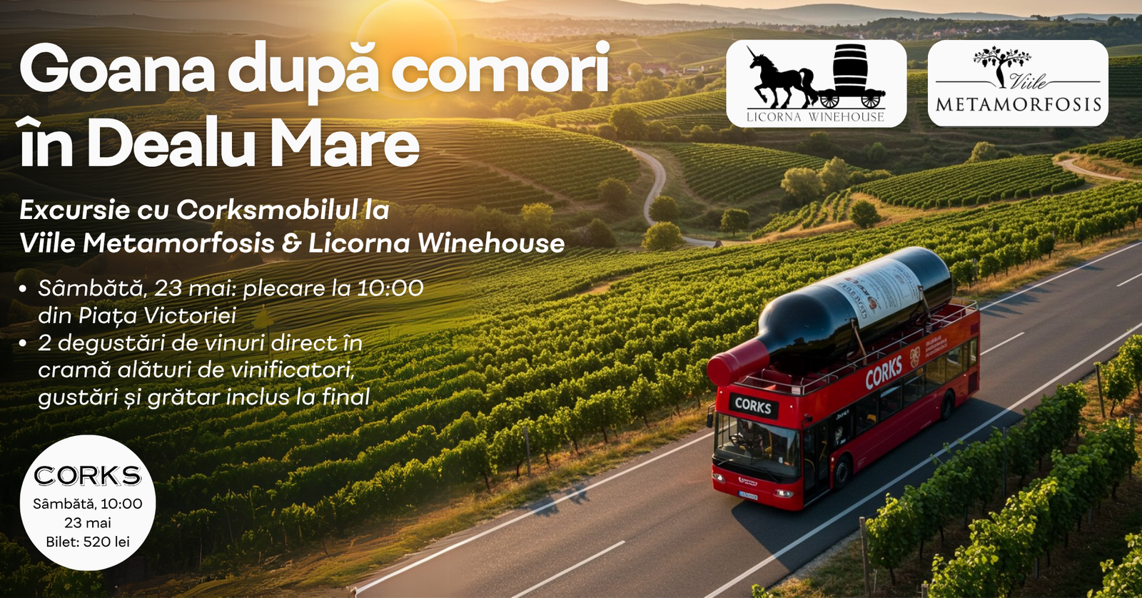 dealu mare 23 mai