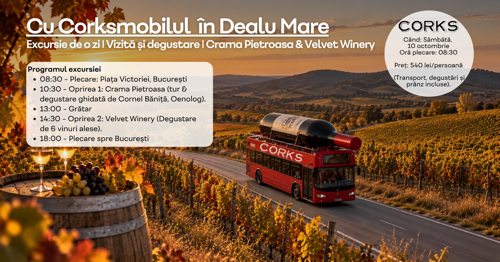 Corksombilul în Dealu Mare Corks Excursie de o zi degustare dealu mare